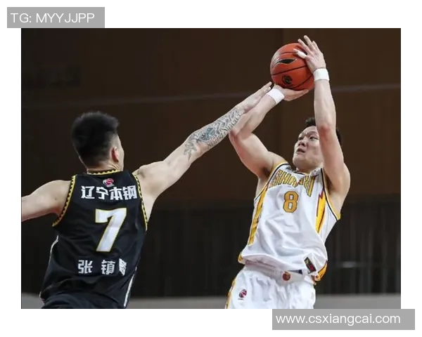 深圳篮球队荣登全国篮球技术排行榜第五名引发关注